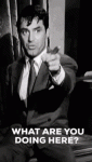 cary-grant.gif cary-grant.gif