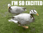 1630760629052.gif