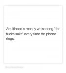 1631213232967.jpeg