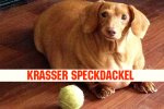 SPECKDACKEL KRASS.jpg