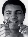 ALI butterfly.jpg