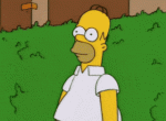1634476724220.gif
