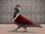1634477489708.gif