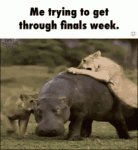 trying-to-get-through-finals-week-idc.gif trying-to-get-through-finals-week-idc.gif