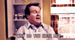 why-do-you-hate-me-hate.gif