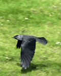 1637499719116.gif