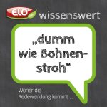 redewendung_bohnenstroh.jpg