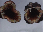 1638362326042.gif