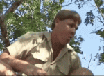 danger-steveerwin.gif danger-steveerwin.gif