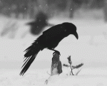 1638957136414.gif 1638957136414.gif