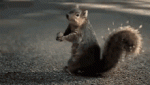 E5F5D6A5-CE66-4CFB-871A-59A021D37F0D.gif