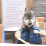 E9821FD2-2E3E-41C3-A33C-27490AF412F8.gif