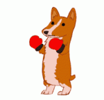 BF43F460-3084-4DDA-A33A-5139B35202C6.gif