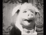 1BE36056-5C5B-4BC5-8403-AA17165C0D73.gif