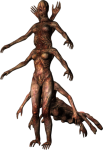 1646568275764.png
