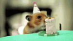 DB52DD5D-960E-4D1B-908E-34FFACF4D028.gif