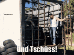 DD175AEC-585C-4747-B934-E0BE6507D855.gif