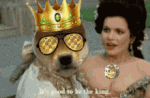 7CCB370B-C889-4ED8-8740-FA9DF88CD075.gif