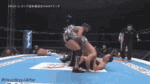 7374912B-2105-4F37-AE8F-F67D3FC292E2.gif 7374912B-2105-4F37-AE8F-F67D3FC292E2.gif
