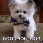 D6FE671F-F41F-41B6-A9C2-230FB6A994D4.gif D6FE671F-F41F-41B6-A9C2-230FB6A994D4.gif