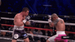 canelo-cotto.gif