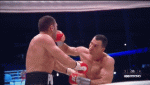 GlitteringForkedImperatorangel-max-1mb.gif