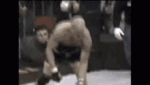 AA38E4F7-ECDA-46BF-AF66-818C69131E74.gif AA38E4F7-ECDA-46BF-AF66-818C69131E74.gif
