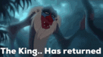 BBBAB5C0-6135-4922-8917-75942ABA3842.gif BBBAB5C0-6135-4922-8917-75942ABA3842.gif
