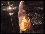 AmpleTediousHorse-max-1mb.gif