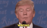 F7F681B6-BB68-4303-BA97-E4B6B2CB594D.gif