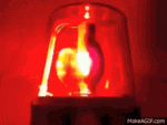 1570A1DB-C329-4514-8841-CDDF485B16C4.gif