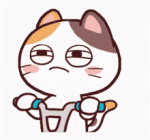 F5A15698-DC04-47E0-A10B-32691B1B4996.gif