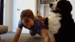 F2380C9E-9FB2-42DF-8E79-0B1788AD137C.gif