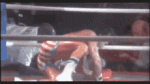 5F0CBF8E-1B01-4994-B48D-C74635AB4F28.gif
