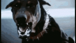 4E63935B-A4C3-4FF3-9945-9FC7D67FA052.gif 4E63935B-A4C3-4FF3-9945-9FC7D67FA052.gif