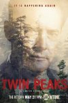 twin peaks.jpeg