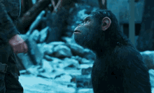 9A505813-088D-4F9E-90F1-2E91148F7554.gif