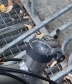 IMG-20220729-WA0021.jpeg