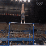 621747E2-3566-4D35-93D0-264859D2EDF4.gif
