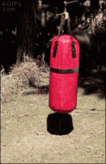 26E007C6-C300-4829-A01F-552FDC4BD4A7.gif