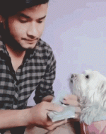 C82EF530-7193-4822-BF8C-CF859818DE40.gif