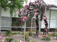 Flamingo.JPG