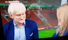RegularJoyfulHeron-max-1mb.gif