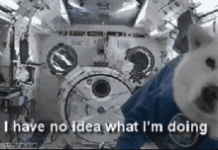 07835BB0-A584-4DF8-BB13-22903607A5FE.gif