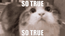 BC3A49BB-AF10-4589-89D6-2D64D91B3497.gif