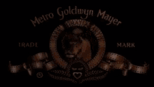 4F2F6D1D-5FFF-47FE-B442-2494D9B4C070.gif