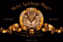 A6C41659-2BAC-4F02-8214-B37F03A913CC.gif