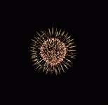 giphy-6.gif