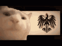 F46CC535-87BE-41AD-BB6F-63289FDCF133.gif