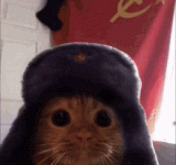 B8001DD1-E7B6-445D-A278-91B7F60F7A0A.gif B8001DD1-E7B6-445D-A278-91B7F60F7A0A.gif